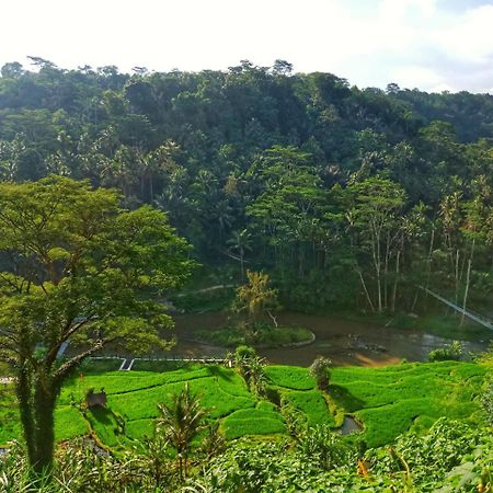 Puri Bunga Resort อูบุด ภายนอก รูปภาพ