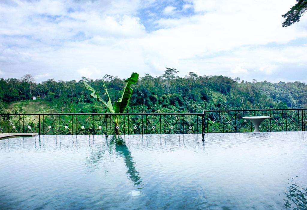 Puri Bunga Resort อูบุด ห้อง รูปภาพ