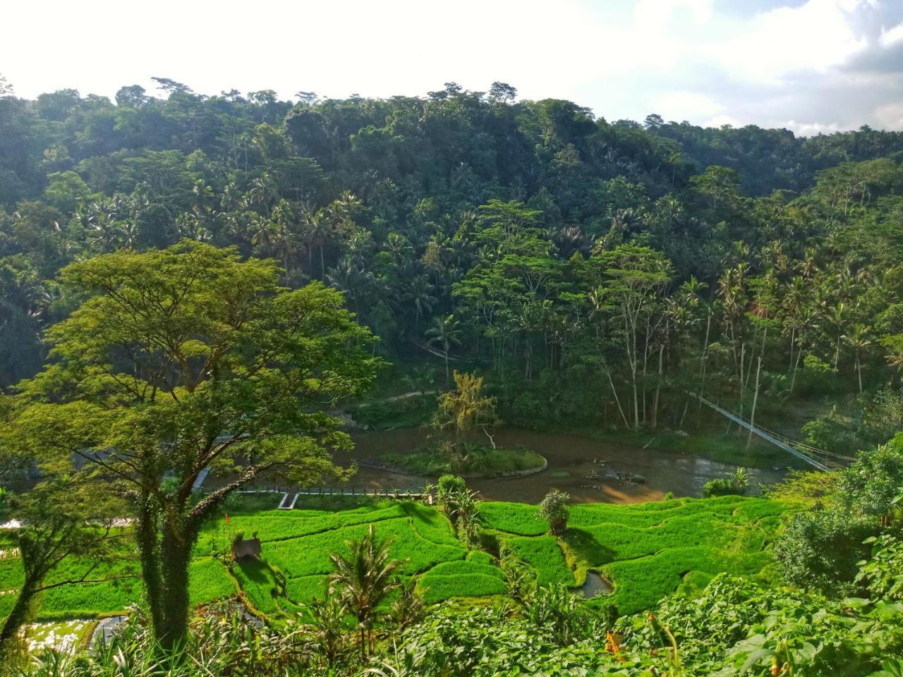 Puri Bunga Resort อูบุด ภายนอก รูปภาพ